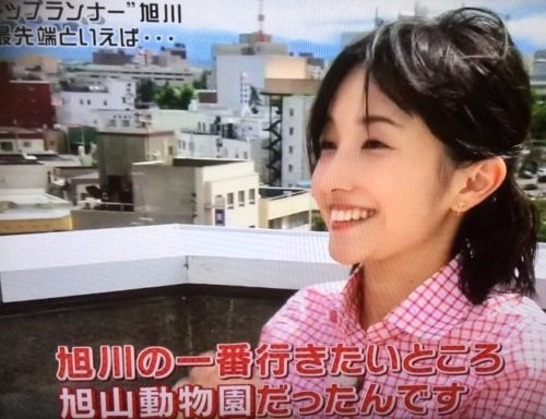 ブラタモリの林田理沙アナの評判は カワイイと話題になっている 速報 トレンド 芸能ニュース