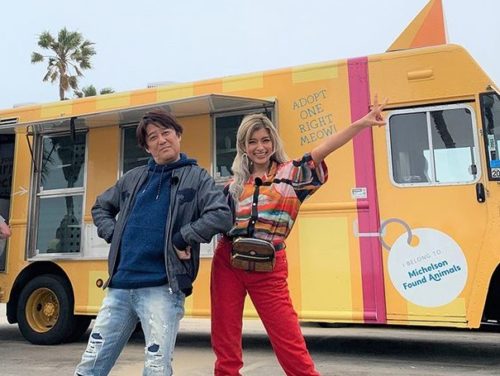 ローラの収入源って何 年収と現在の仕事を調べてみました 自宅もチェック 速報 芸能 プチ格闘技ニュース