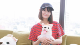 山下まみ 声優 は結婚してる 彼氏はいるのか 経歴などのまとめ 速報 トレンド 芸能ニュース